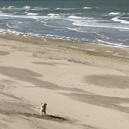 Natur Pur, O4 Neues Ferienhaus Natureingebunden, Familien- Und Hundefreundlich Eingezaeunt Callantsoog Kültér fotó
